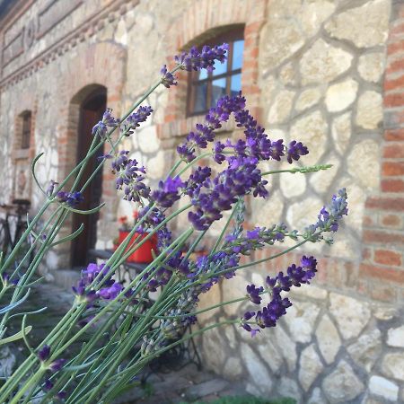 Levendula Porta és Pajtaszínház Orfű Exterior foto